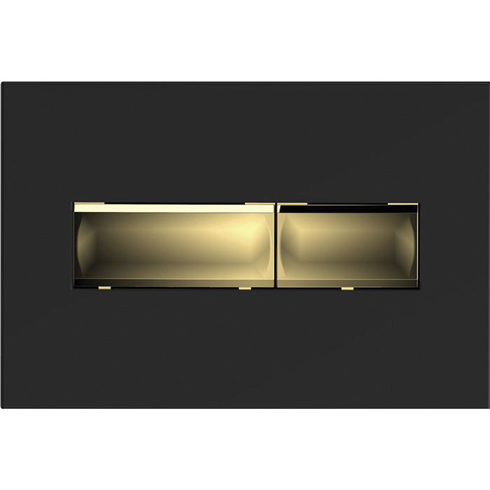 CN732-4 (чёрно-золотая)