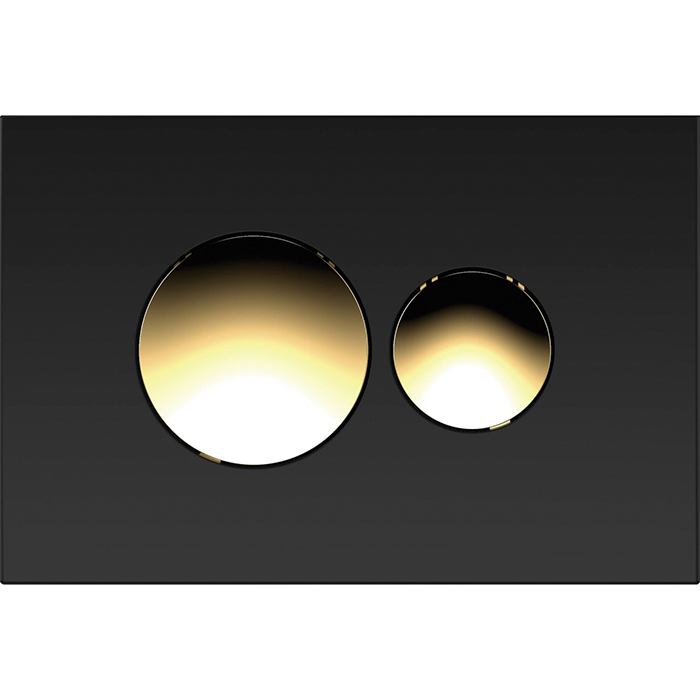 CN731-4 (чёрно-золотая)